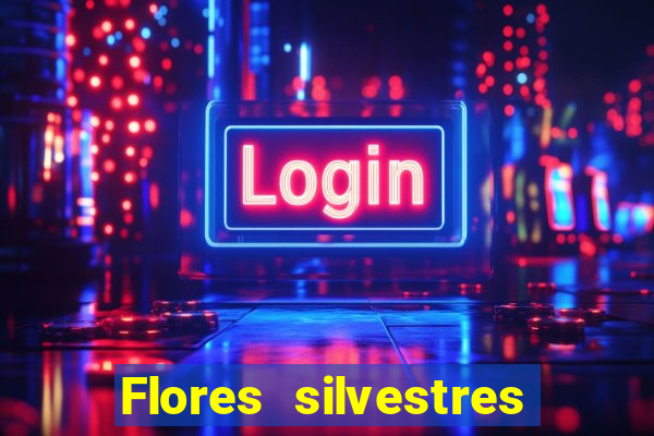 Flores silvestres brasileiras brasileiras flores silvestres nomes e imagens